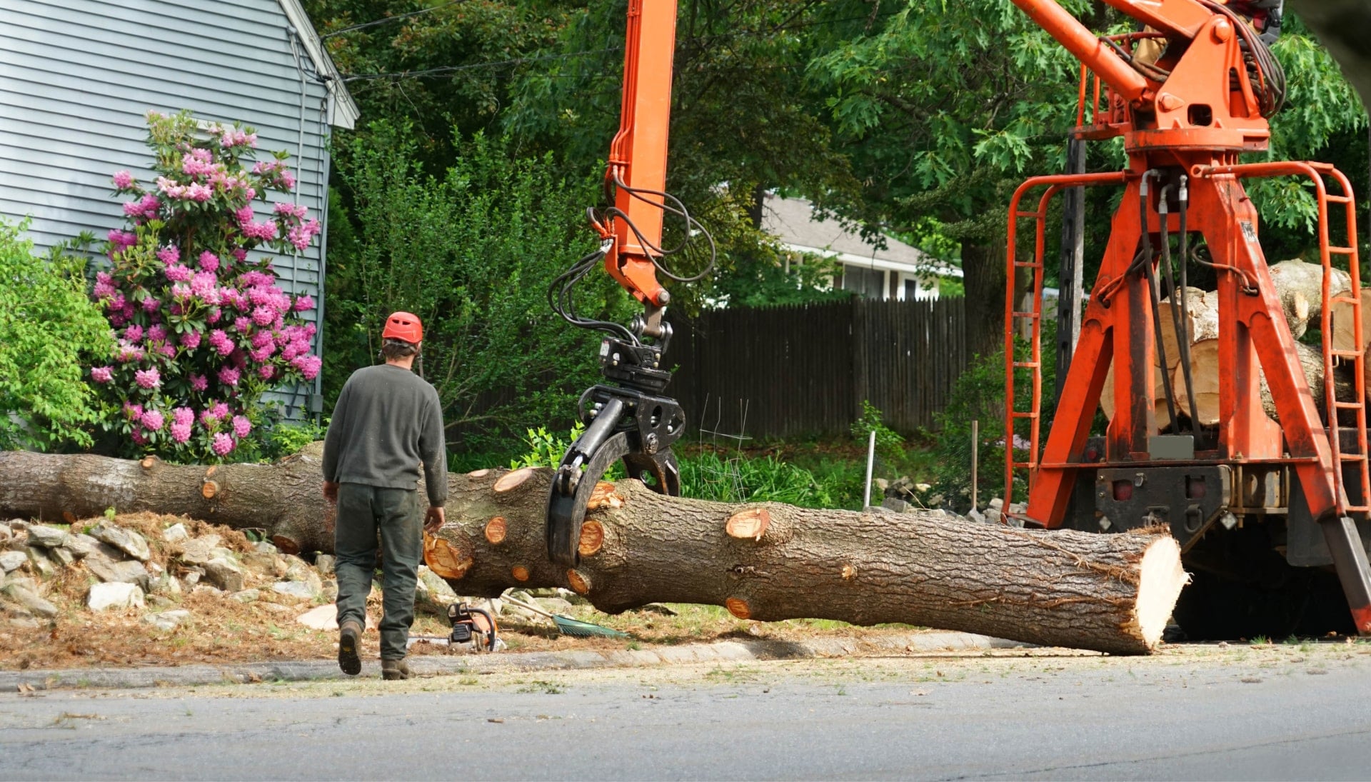Local partner for Tree removal services in Georgetown